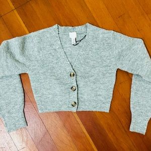 H&M cropped sweater
